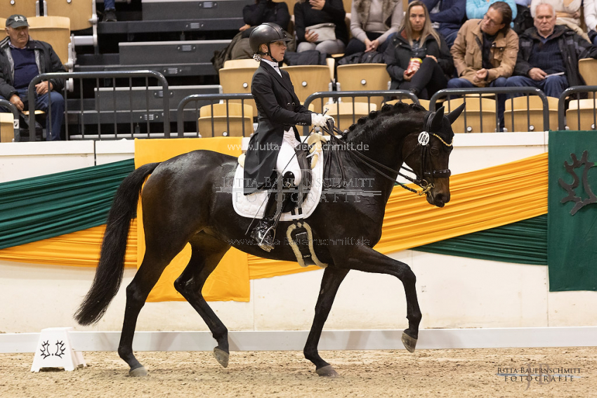 Preview 21-THM-TSF-Hoheit _JB_37403.jpg